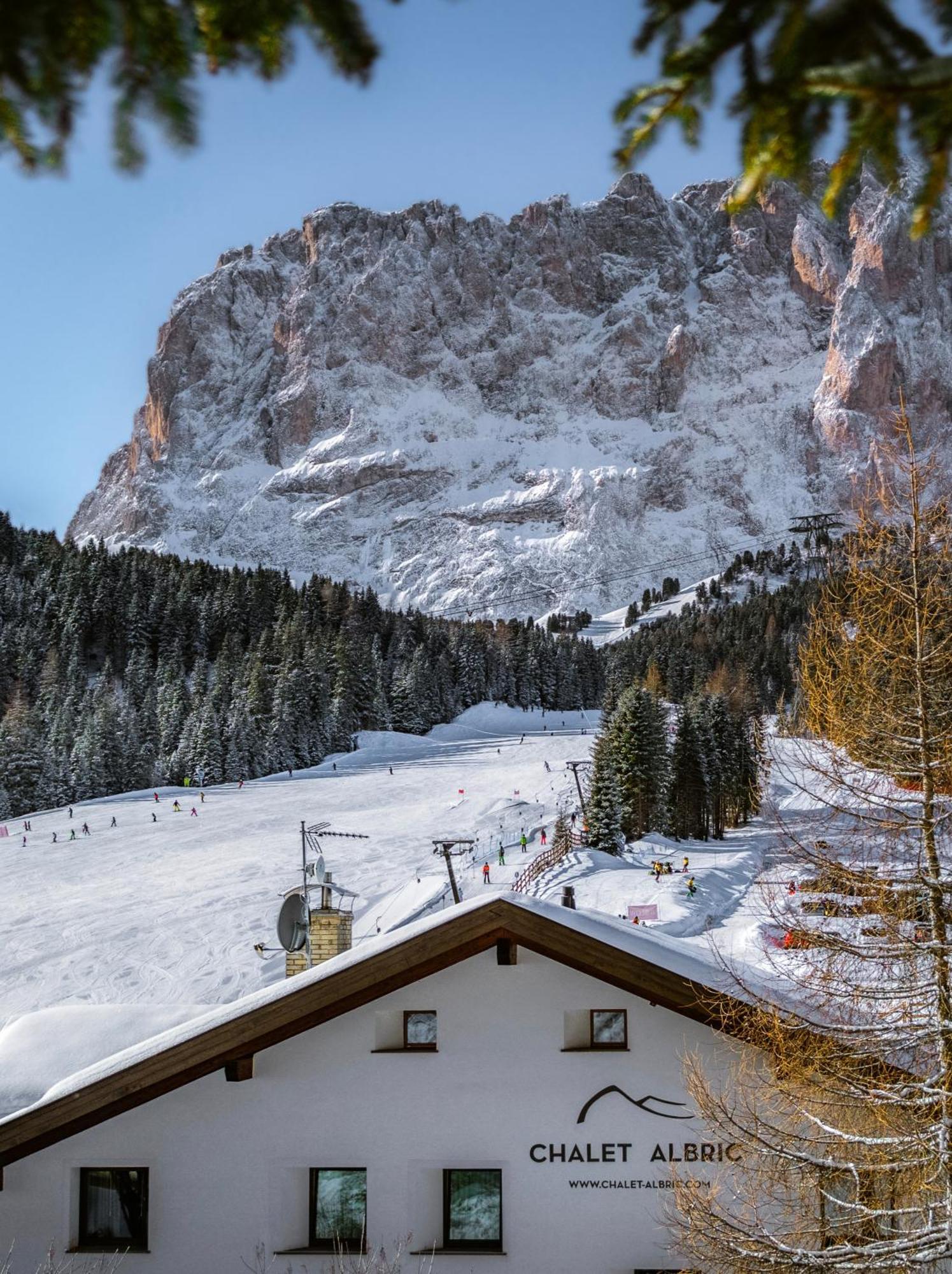 Chalet Albric Selva di Val Gardena Eksteriør bilde