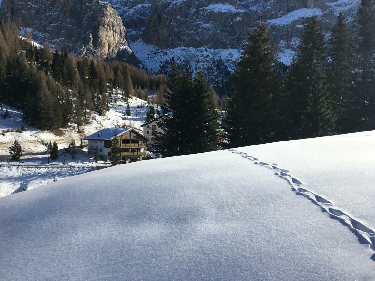 Chalet Albric Leilighet Selva di Val Gardena Eksteriør bilde