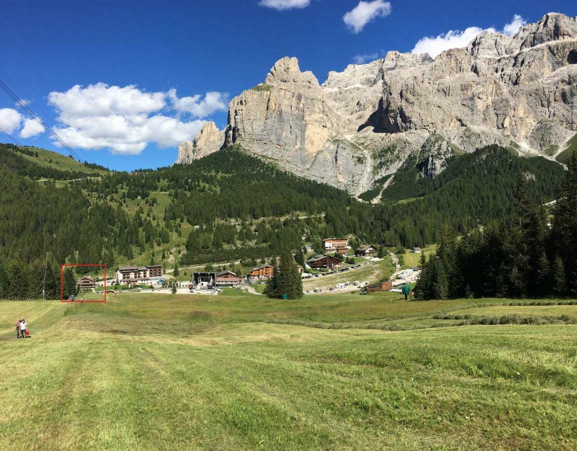 Chalet Albric Leilighet Selva di Val Gardena Eksteriør bilde