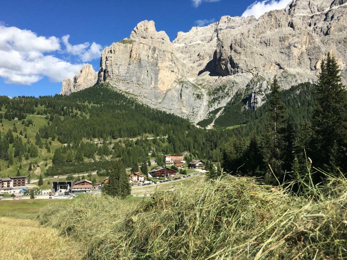 Chalet Albric Leilighet Selva di Val Gardena Eksteriør bilde