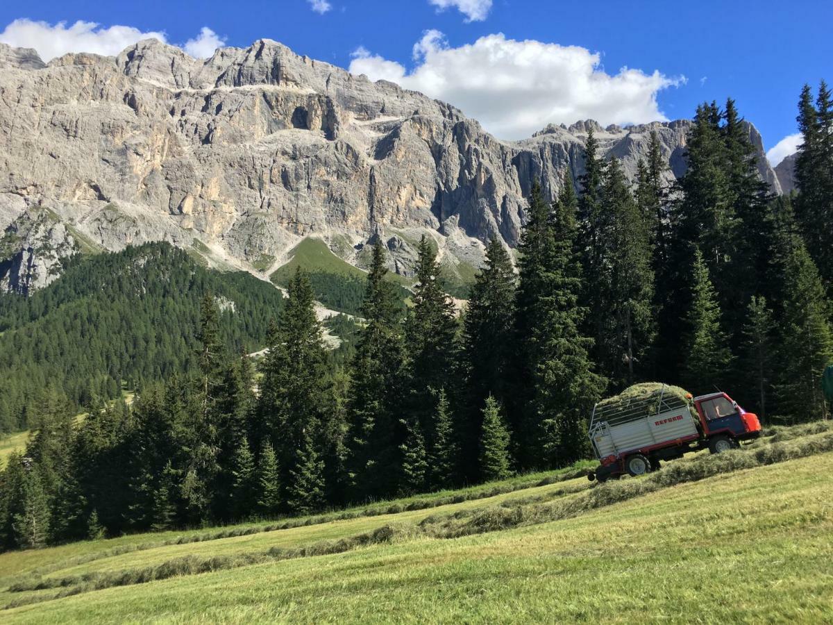 Chalet Albric Leilighet Selva di Val Gardena Eksteriør bilde